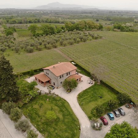 Agrituirsmo Masseria Campierti Falciano del Massico Dış mekan fotoğraf