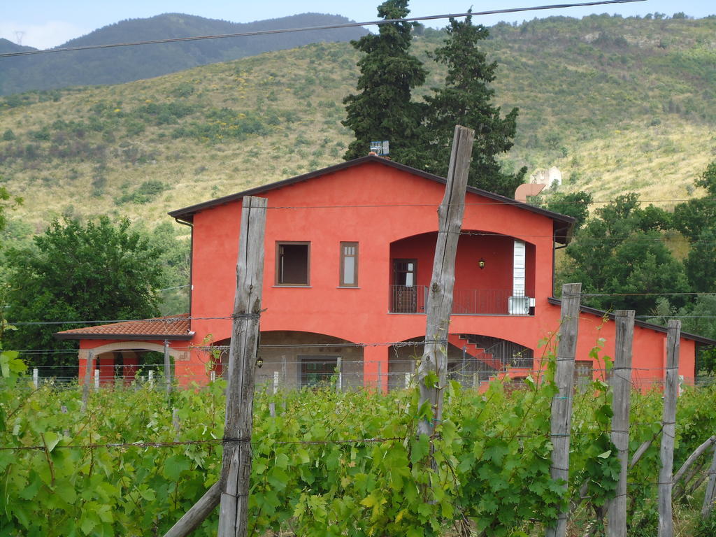 Agrituirsmo Masseria Campierti Falciano del Massico Dış mekan fotoğraf